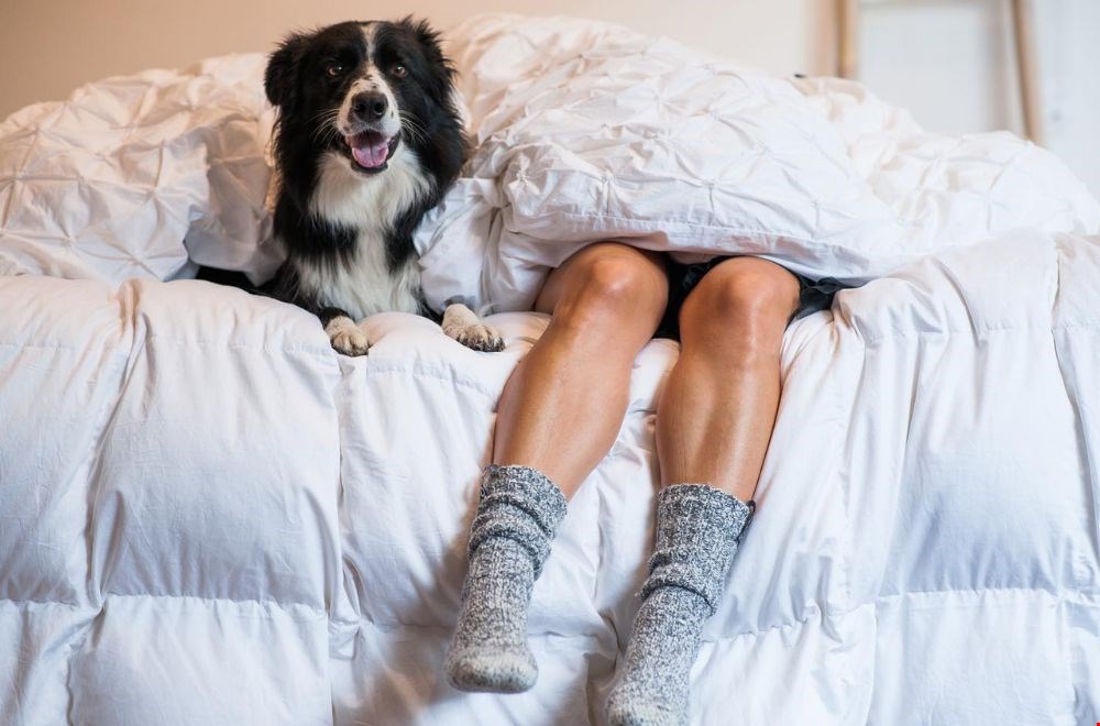 Zo kun jij heerlijk slapen in de winter! Zo kun jij heerlijk slapen in de winter!